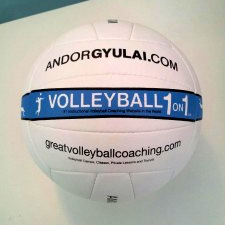 Free_Volleyball_1